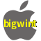 Aplicativo bigwint para iOS