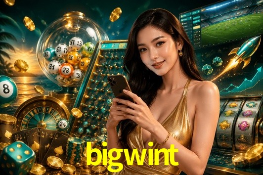 Security Systems bigwint