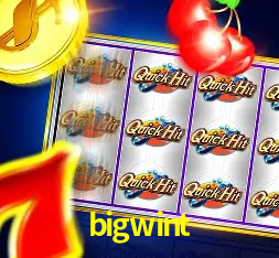 A Popularidade dos Caça-Níqueis no bigwint