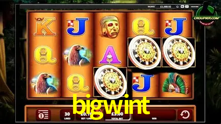 A Popularidade dos Caça-Níqueis no bigwint
