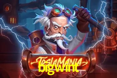 Sistemas de Segurança bigwint